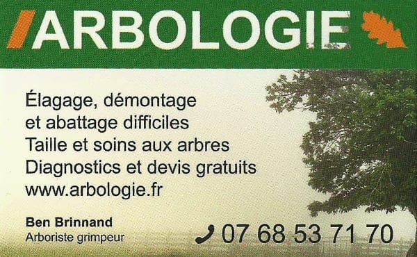 Arbologie