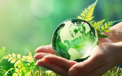 Ne jetez plus….Optez pour le réemploi solidaire
