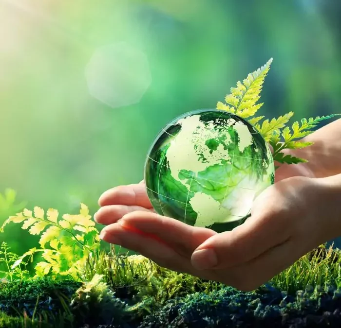 Ne jetez plus….Optez pour le réemploi solidaire